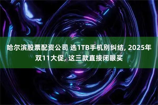 哈尔滨股票配资公司 选1TB手机别纠结, 2025年双11大促, 这三款直接闭眼买